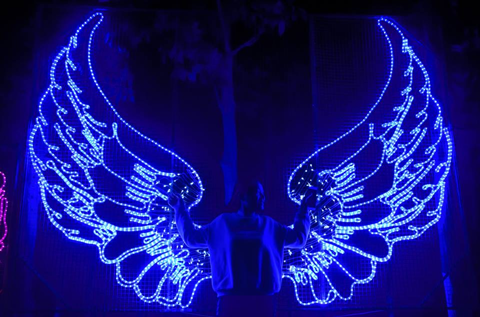 đôi cánh thiên thần tại the phoenix garden Đan Phượng