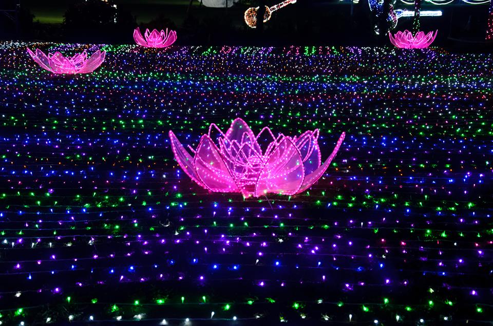 Lễ hội ánh sáng tại The Phoenix Garden Đan Phượng