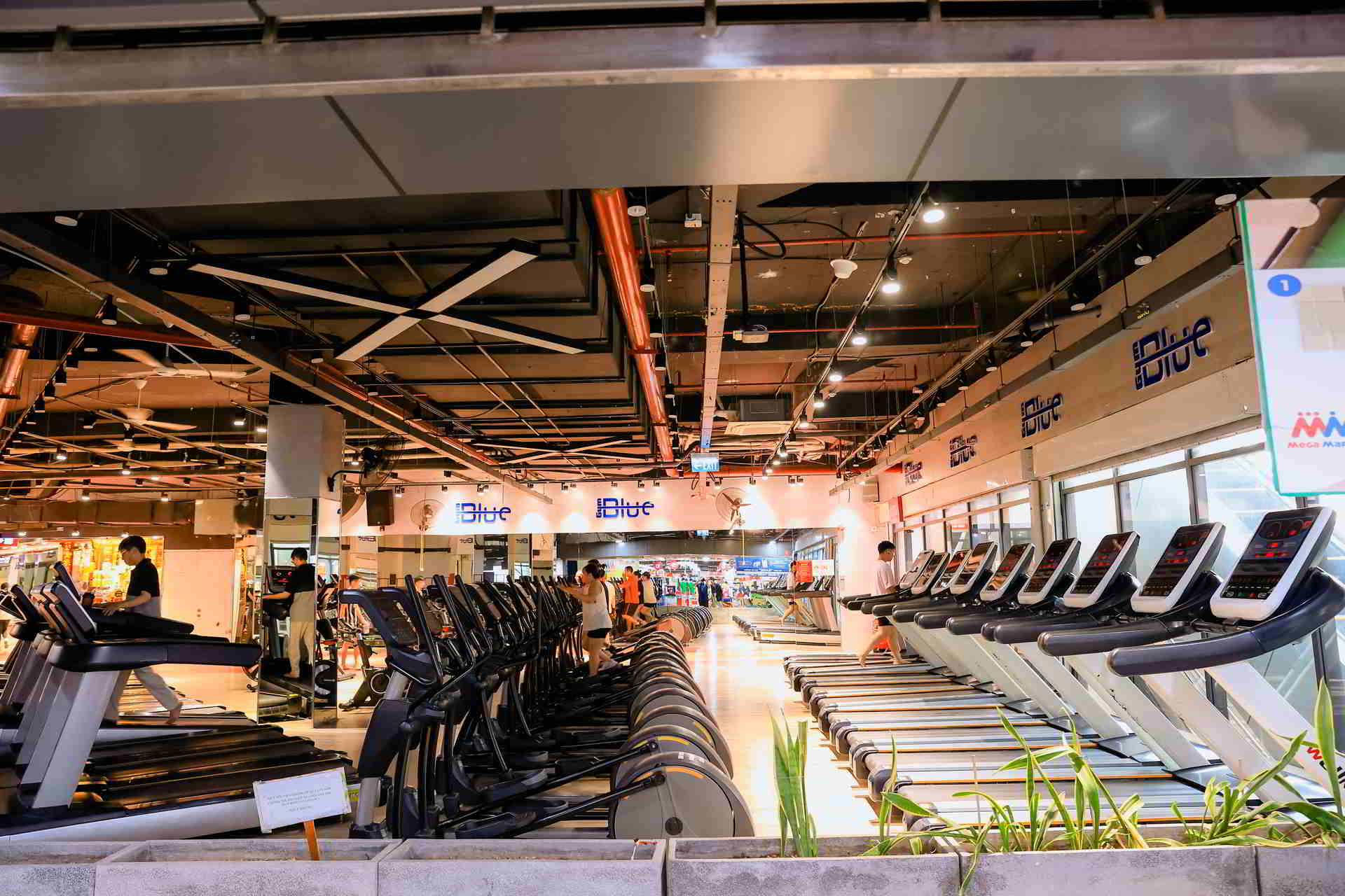 Phòng Gym thương hiệu Blue Gym tại 360 Giải Phóng